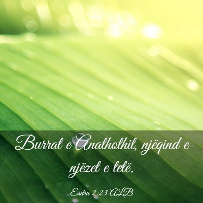 Picture 03 - Esdra 2:23 ALB - Burrat e Anathothit, njëqind e njëzet e - Bible Verse Picture