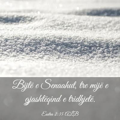 Picture 03 - Esdra 2:35 ALB - Bijtë e Senaahut, tre mijë e gjashtëqind e - Bible Verse Picture