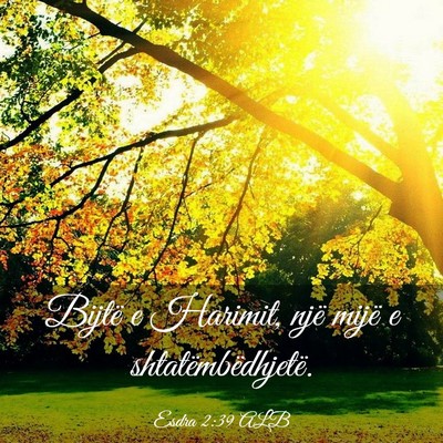 Picture 03 - Esdra 2:39 ALB - Bijtë e Harimit, një mijë e - Bible Verse Picture