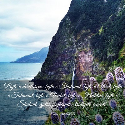 Picture 03 - Esdra 2:42 ALB - Bijtë e derëtarëve: bijtë e Shalumit, bijtë - Bible Verse Picture