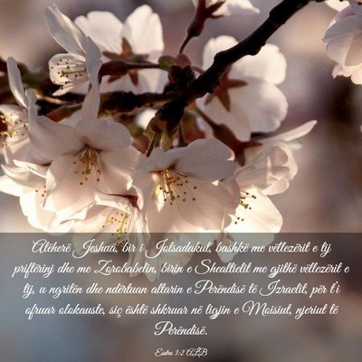 Picture 03 - Esdra 3:2 ALB - Atëherë Jeshua, bir i Jotsadakut, bashkë me - Bible Verse Picture