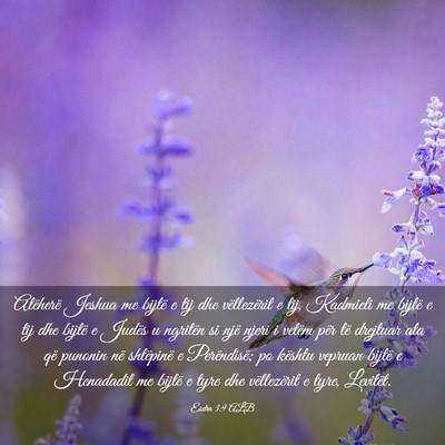 Picture 03 - Esdra 3:9 ALB - Atëherë Jeshua me bijtë e tij dhe vëllezërit - Bible Verse Picture