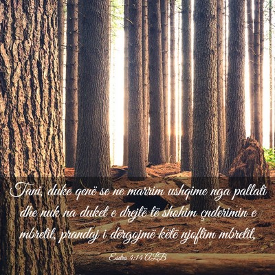 Picture 03 - Esdra 4:14 ALB - Tani, duke qenë se ne marrim ushqime nga pallati - Bible Verse Picture