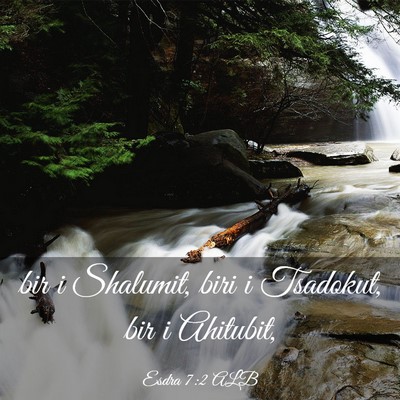 Picture 03 - Esdra 7:2 ALB - bir i Shalumit, biri i Tsadokut, bir i - Bible Verse Picture