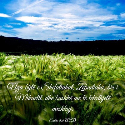 Picture 03 - Esdra 8:8 ALB - Nga bijtë e Shefatiahut, Zebadiahu, bir i - Bible Verse Picture