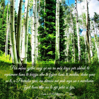 Picture 03 - Esdra 9:13 ALB - Por mbas gjithë asaj që na ra mbi krye për - Bible Verse Picture