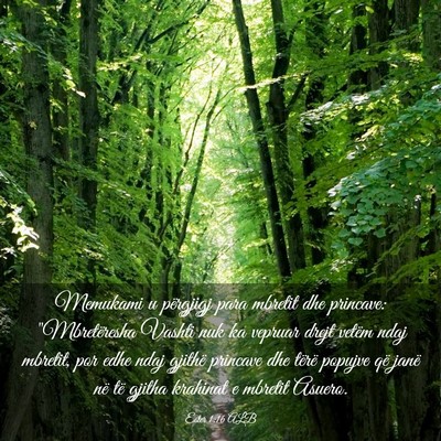 Picture 03 - Ester 1:16 ALB - Memukami u përgjigj para mbretit dhe princave: - Bible Verse Picture