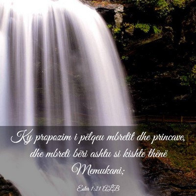 Picture 03 - Ester 1:21 ALB - Ky propozim i pëlqeu mbretit dhe princave, dhe - Bible Verse Picture