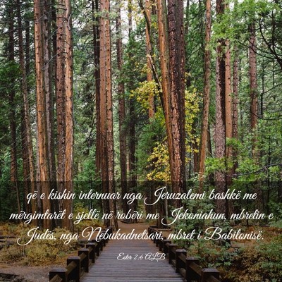 Picture 03 - Ester 2:6 ALB - që e kishin internuar nga Jeruzalemi bashkë me - Bible Verse Picture
