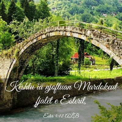 Picture 03 - Ester 4:12 ALB - Kështu ia njoftuan Mardokeut fjalët e - Bible Verse Picture
