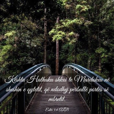 Picture 03 - Ester 4:6 ALB - Kështu Hathaku shkoi te Mardokeu në sheshin e - Bible Verse Picture
