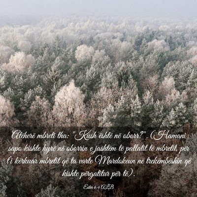 Picture 03 - Ester 6:4 ALB - Atëherë mbreti tha: 
