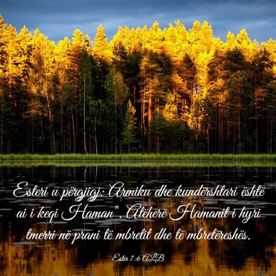 Picture 03 - Ester 7:6 ALB - Esteri u përgjigj: Armiku dhe kundërshtari - Bible Verse Picture