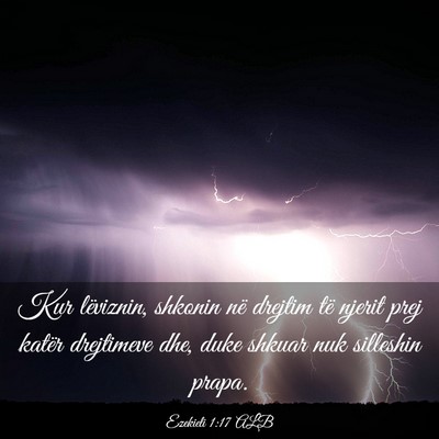 Picture 03 - Ezekieli 1:17 ALB - Kur lëviznin, shkonin në drejtim të njerit - Bible Verse Picture