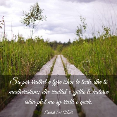 Picture 03 - Ezekieli 1:18 ALB - Sa për rrathet e tyre ishin të lartë dhe të - Bible Verse Picture