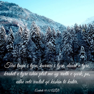 Picture 03 - Ezekieli 10:12 ALB - Tërë trupi i tyre, kurrizi i tyre, duart e - Bible Verse Picture