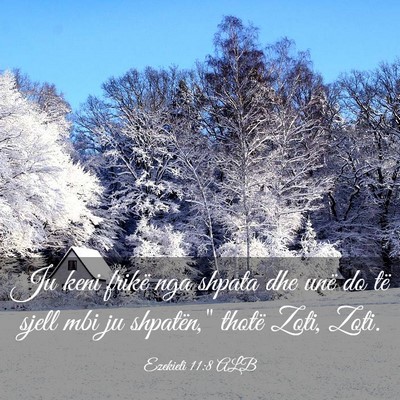 Picture 03 - Ezekieli 11:8 ALB - Ju keni frikë nga shpata dhe unë do të sjell - Bible Verse Picture