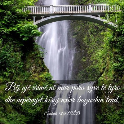 Picture 03 - Ezekieli 12:5 ALB - Bëj një vrimë në mur para syve të tyre dhe - Bible Verse Picture