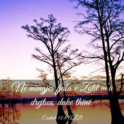 Picture 03 - Ezekieli 12:8 ALB - Në mëngjes fjala e Zotit m’u drejtua, duke - Bible Verse Picture