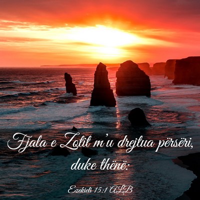 Picture 03 - Ezekieli 15:1 ALB - Fjala e Zotit m’u drejtua përsëri, duke - Bible Verse Picture