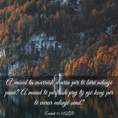 Picture 03 - Ezekieli 15:3 ALB - A mund ta marrësh drurin për të bërë ndonjë - Bible Verse Picture