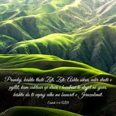 Picture 03 - Ezekieli 15:6 ALB - Prandaj, kështu thotë Zoti, Zoti: Ashtu sikur, - Bible Verse Picture