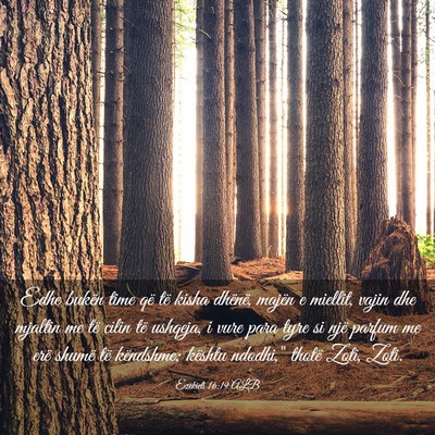 Picture 03 - Ezekieli 16:19 ALB - Edhe bukën time që të kisha dhënë, majën e - Bible Verse Picture