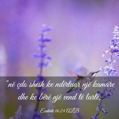 Picture 03 - Ezekieli 16:24 ALB - 