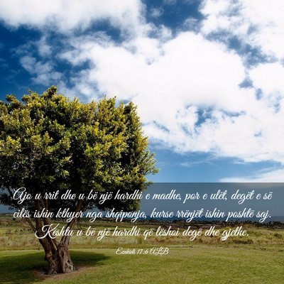 Picture 03 - Ezekieli 17:6 ALB - Ajo u rrit dhe u bë një hardhi e madhe, por e - Bible Verse Picture