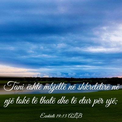 Picture 03 - Ezekieli 19:13 ALB - Tani është mbjellë në shkretëtirë në një - Bible Verse Picture