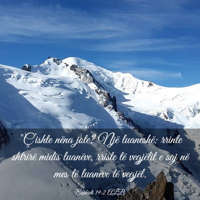 Picture 03 - Ezekieli 19:2 ALB - 