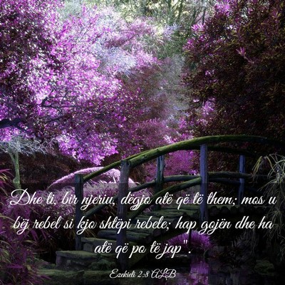 Picture 03 - Ezekieli 2:8 ALB - Dhe ti, bir njeriu, dëgjo atë që të them; mos - Bible Verse Picture