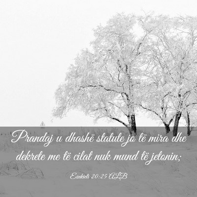 Picture 03 - Ezekieli 20:25 ALB - Prandaj u dhashë statute jo të mira dhe dekrete - Bible Verse Picture