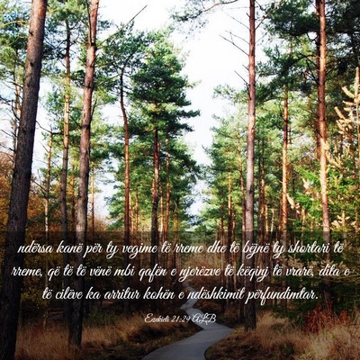 Picture 03 - Ezekieli 21:29 ALB - ndërsa kanë për ty vegime të rreme dhe të - Bible Verse Picture