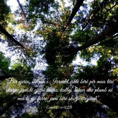 Picture 03 - Ezekieli 22:18 ALB - 