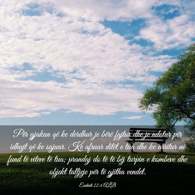 Picture 03 - Ezekieli 22:4 ALB - Për gjakun që ke derdhur je bërë fajtor dhe - Bible Verse Picture