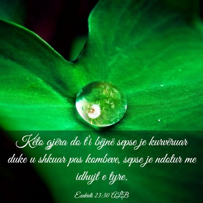 Picture 03 - Ezekieli 23:30 ALB - Këto gjëra do t’i bëjnë sepse je kurvëruar - Bible Verse Picture