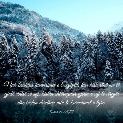 Picture 03 - Ezekieli 23:8 ALB - Nuk braktisi kurvërimet e Egjiptit, kur kish - Bible Verse Picture