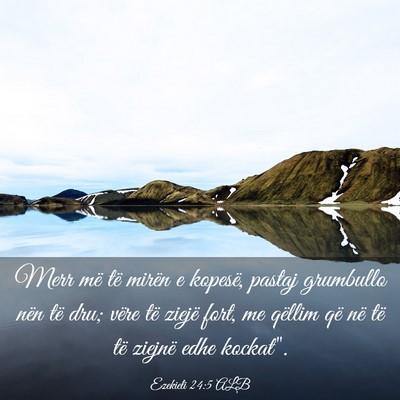 Picture 03 - Ezekieli 24:5 ALB - Merr më të mirën e kopesë, pastaj grumbullo - Bible Verse Picture
