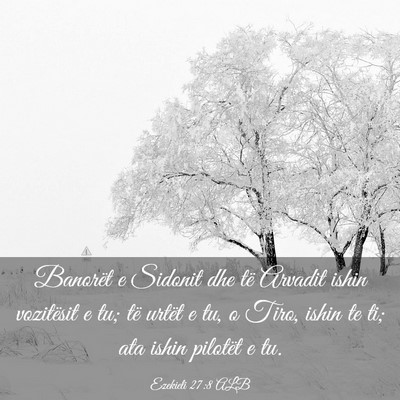 Picture 03 - Ezekieli 27:8 ALB - Banorët e Sidonit dhe të Arvadit ishin - Bible Verse Picture