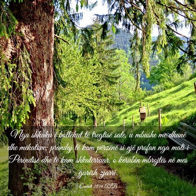 Picture 03 - Ezekieli 28:16 ALB - Nga shkaku i bollëkut të tregtisë sate, u - Bible Verse Picture