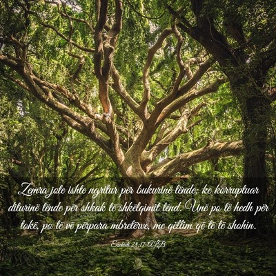 Picture 03 - Ezekieli 28:17 ALB - Zemra jote ishte ngritur për bukurinë tënde; - Bible Verse Picture