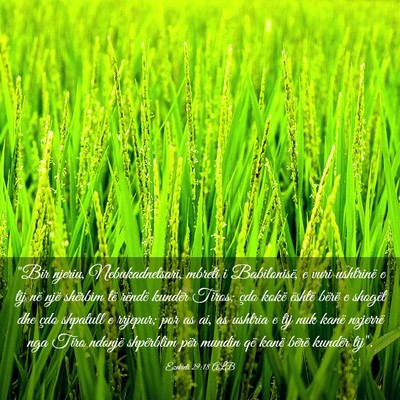 Picture 03 - Ezekieli 29:18 ALB - 