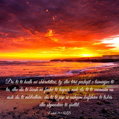 Picture 03 - Ezekieli 29:5 ALB - Do të të hedh në shkretëtirë, ty dhe tërë - Bible Verse Picture
