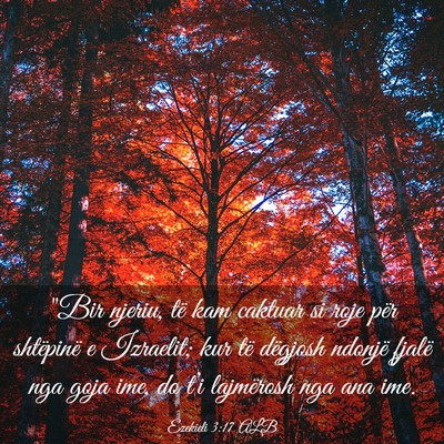 Picture 03 - Ezekieli 3:17 ALB - 