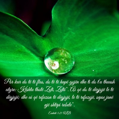 Picture 03 - Ezekieli 3:27 ALB - Por kur do të të flas, do të të hapë gojën - Bible Verse Picture