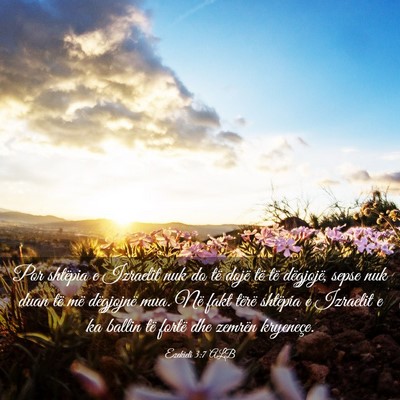 Picture 03 - Ezekieli 3:7 ALB - Por shtëpia e Izraelit nuk do të dojë të të - Bible Verse Picture