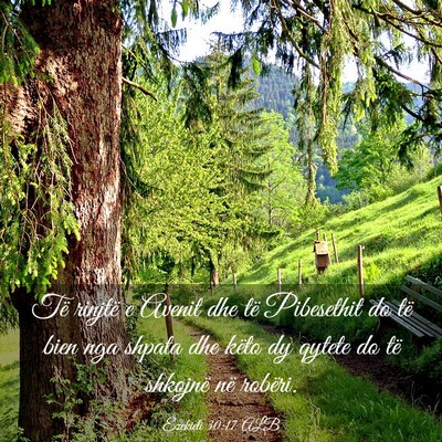 Picture 03 - Ezekieli 30:17 ALB - Të rinjtë e Avenit dhe të Pibesethit do të - Bible Verse Picture