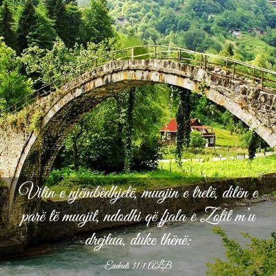 Picture 03 - Ezekieli 31:1 ALB - Vitin e njëmbëdhjetë, muajin e tretë, ditën - Bible Verse Picture