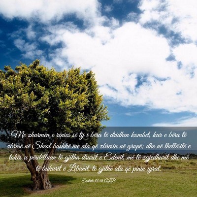 Picture 03 - Ezekieli 31:16 ALB - Me zhurmën e rënies së tij i bëra të dridhen - Bible Verse Picture